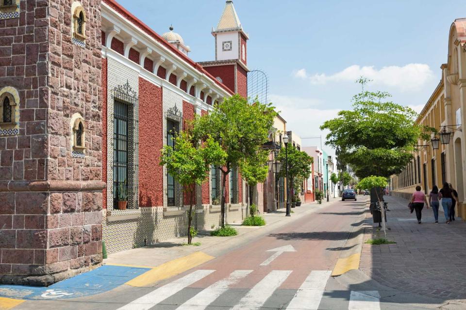 A colorful trees in Tlaquepaque, Mexico