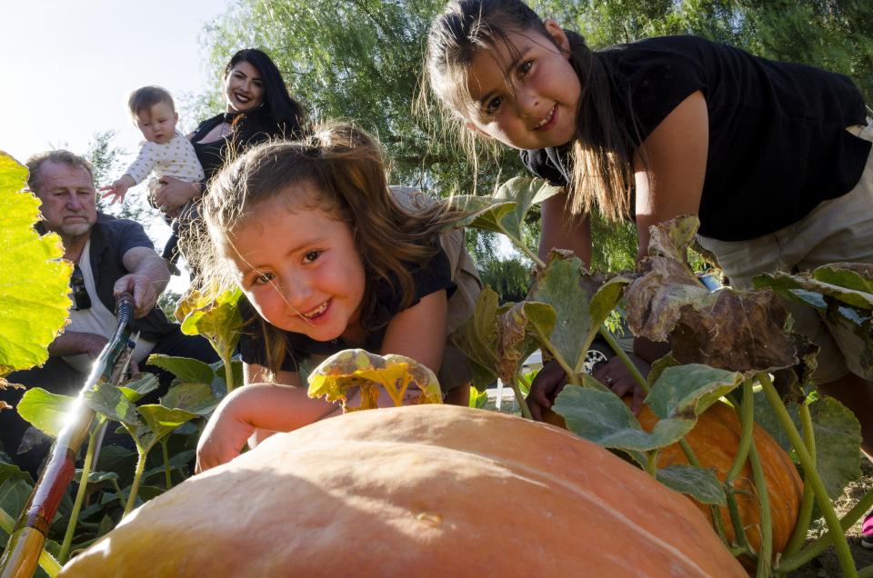 Kids will enjoy the family-friendly Great Pumpkin Fest at Keehner Park on Saturday.