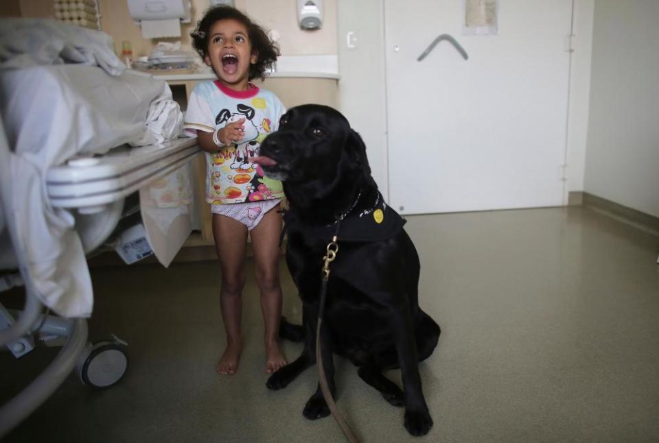 Rayssa plays with Troia, a therapeutically trained dog