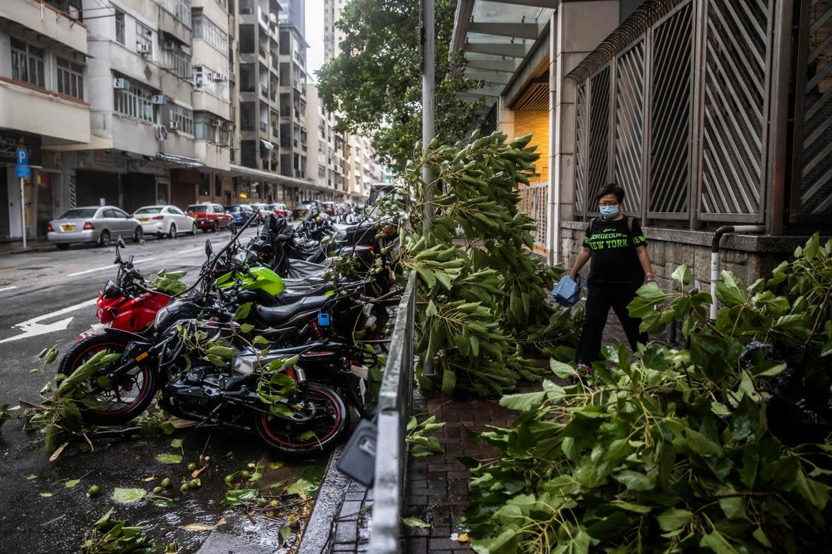 A woman walks past fallen tree branches as a result of Typhoon Saola (AFP via Getty Images)