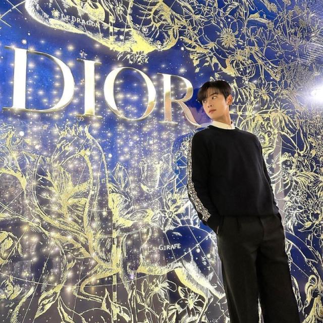 Dior names Cha Eun-woo as face of Capture Totale Serum - Global Cosmetics  News