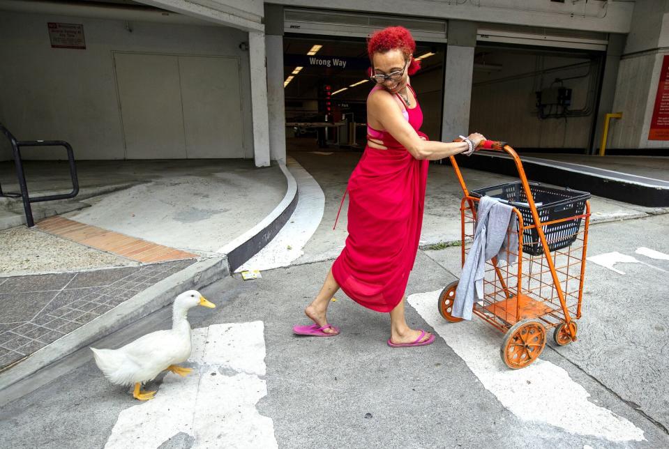 Autumn McWilliams walks along Grand Avenue in downtown Los Angeles with a Pekin duck she named Cardi D.