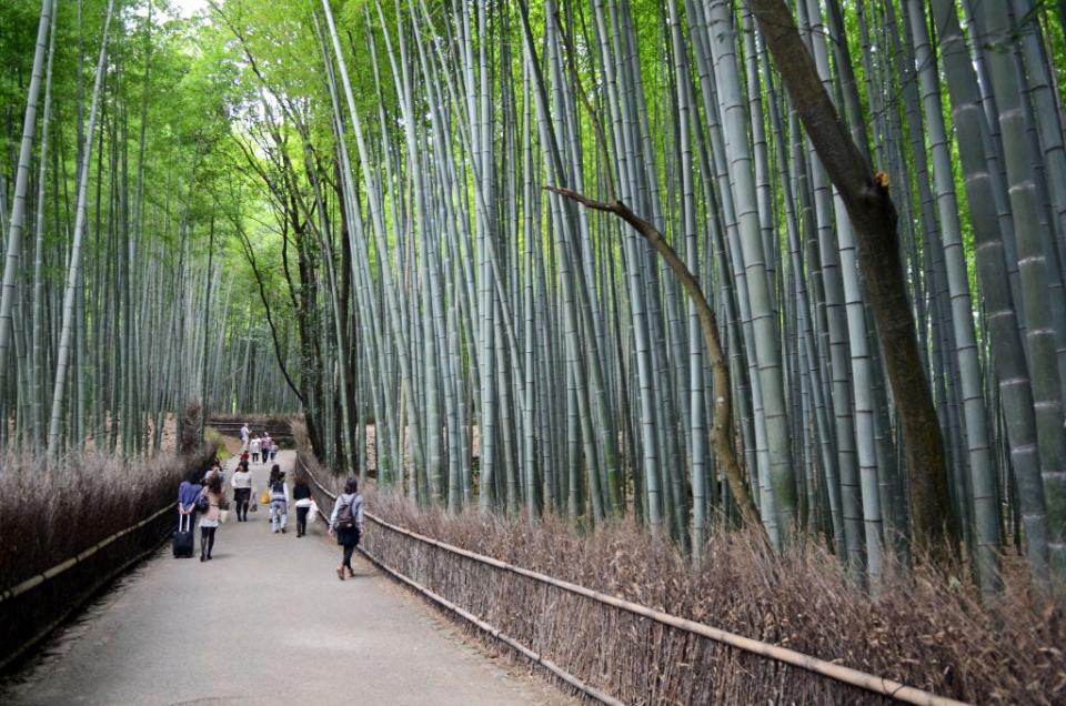 Arashiyama Bamboo Forest with people walking through