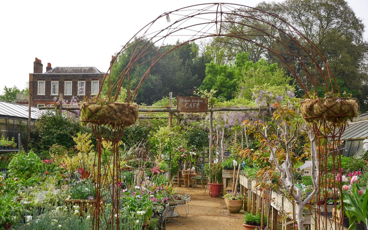 Petersham made garden centres cool