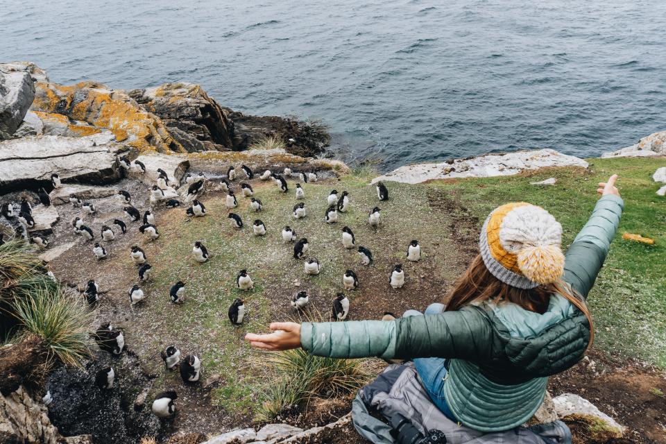 Author Nicole Jordan sitting on a cliff with arms outstretched as she looks down on a group of penguins in grass