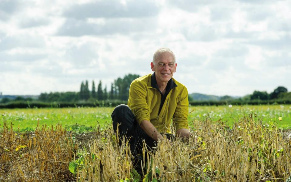 Eric Holub in bean field