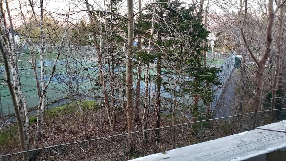 A few trees stand between the Castle Hill Park pickleball courts and Jennifer Tucker's deck.