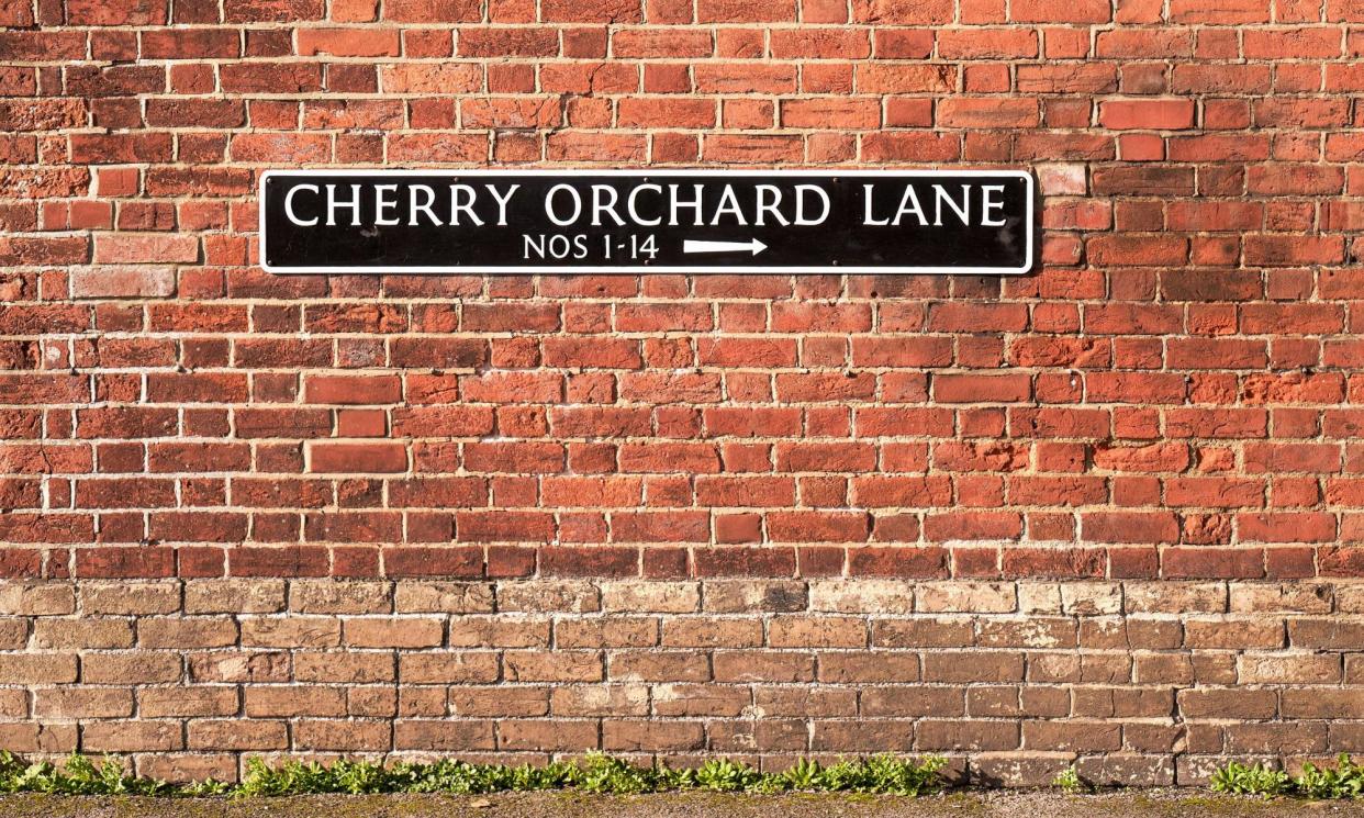 <span>A street sign in Salisbury, Wiltshire. The National Trust describes such names as ‘fossil blossom’.</span><span>Photograph: Richard Coombs/Alamy</span>