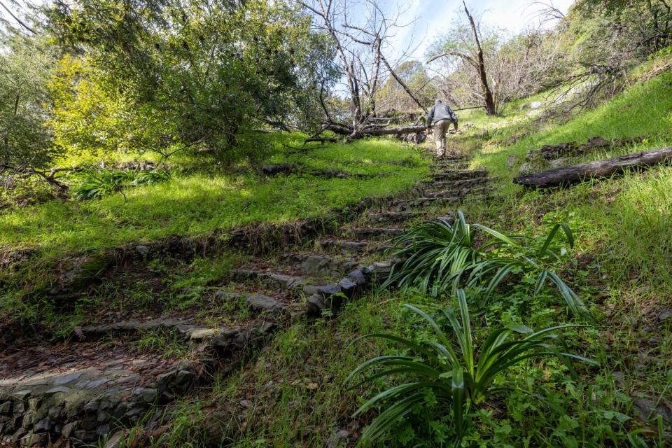 Paul Edelman walks up a stone stairway.