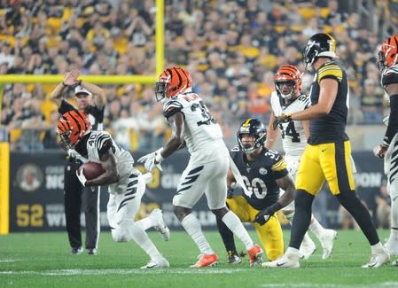 NFL: Cincinnati Bengals at Pittsburgh Steelers