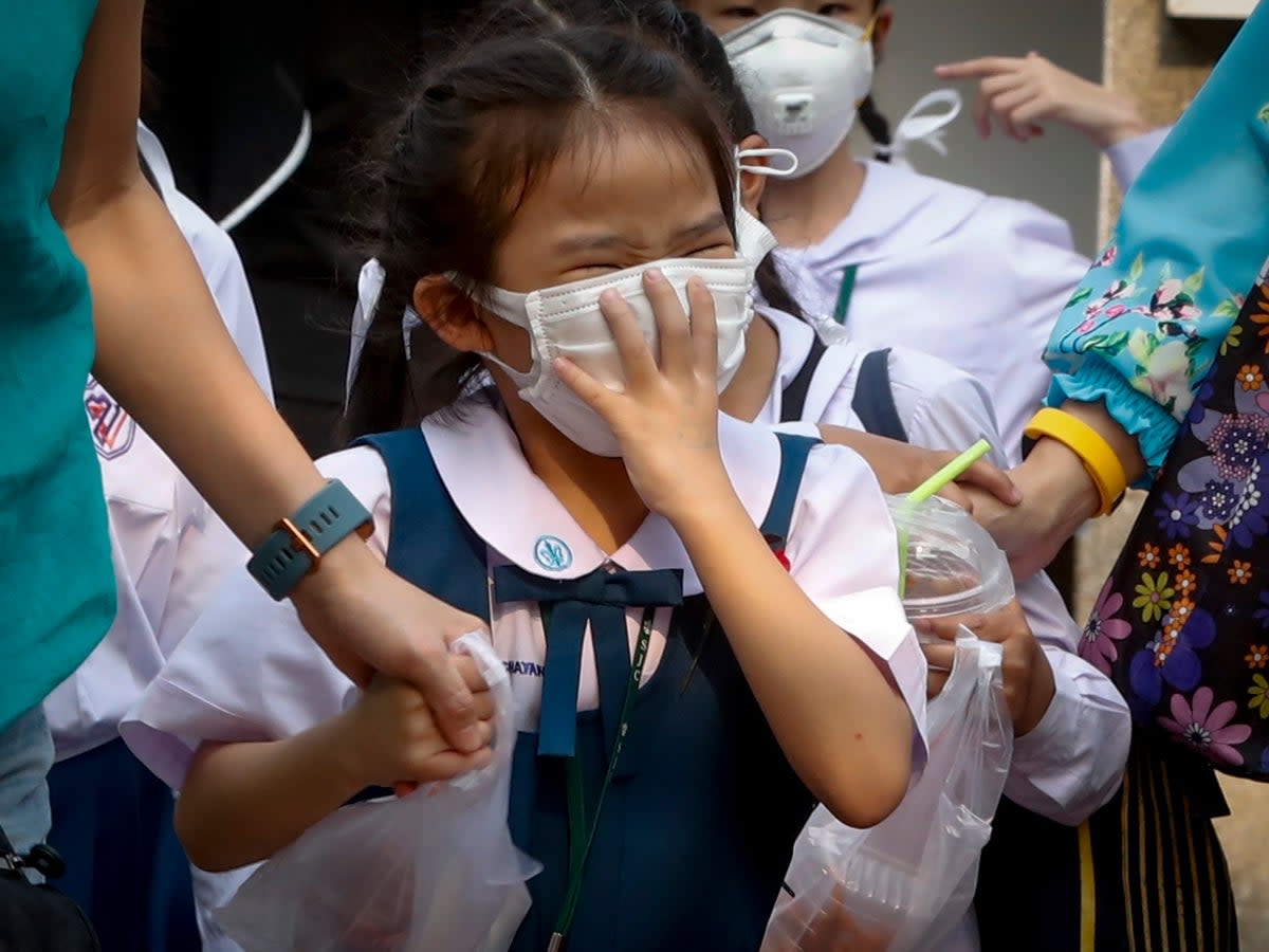 A Thai student wears a face mask as heavy air pollution continues to affect Bangkok (EPA)