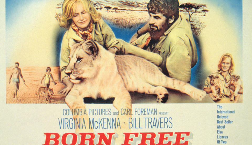 Born Free poster