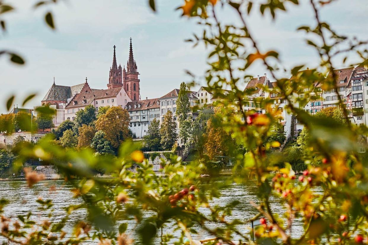 View of the Rhine River and Basel Cathedral in Basel, Switzerland, seen through branches on the riverbank