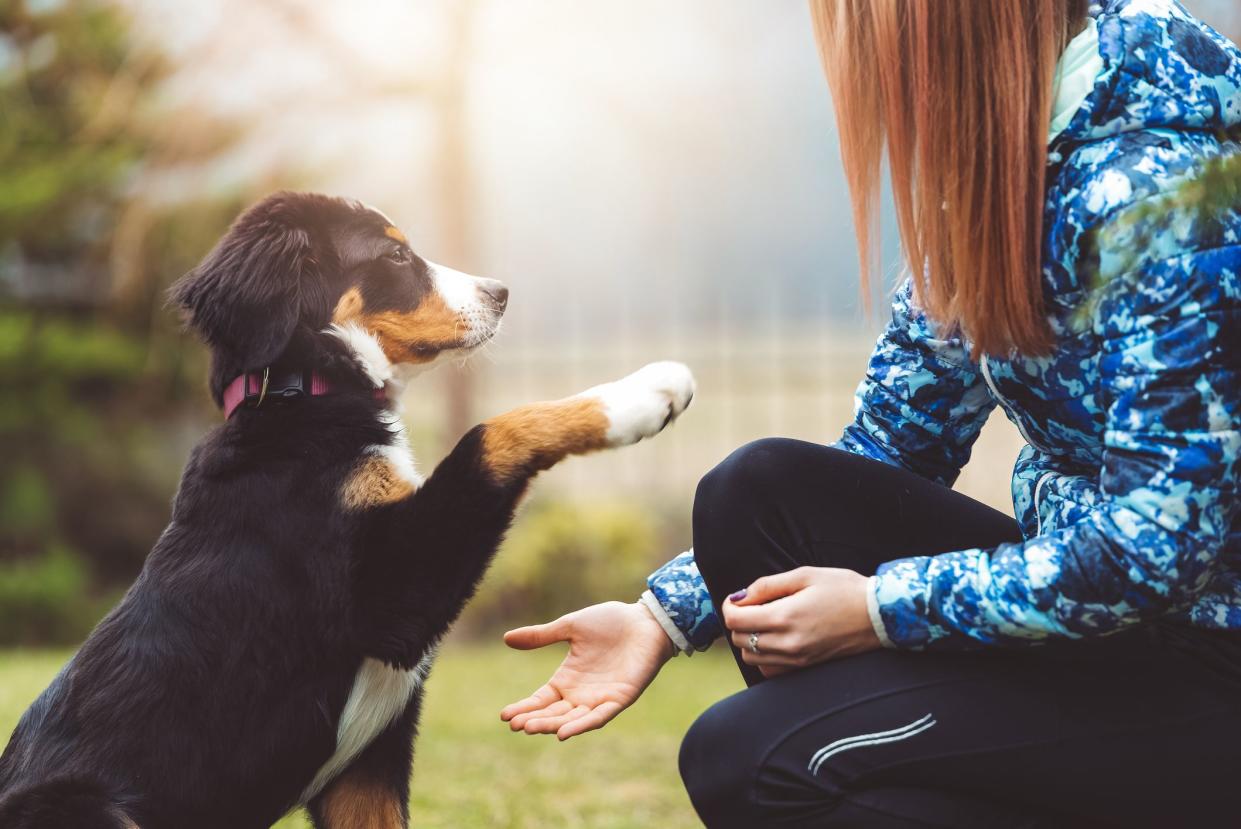 A beautiful young women on a walk with her dog. It’s play time, if you’ll be a good boy you’ll get a treat. A dog is the only thing on earth that loves you more than he loves himself.