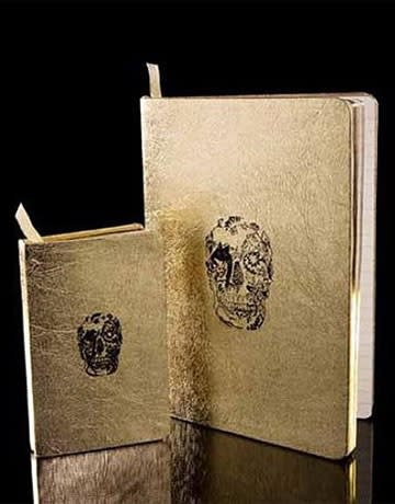 Delft Skull Journal