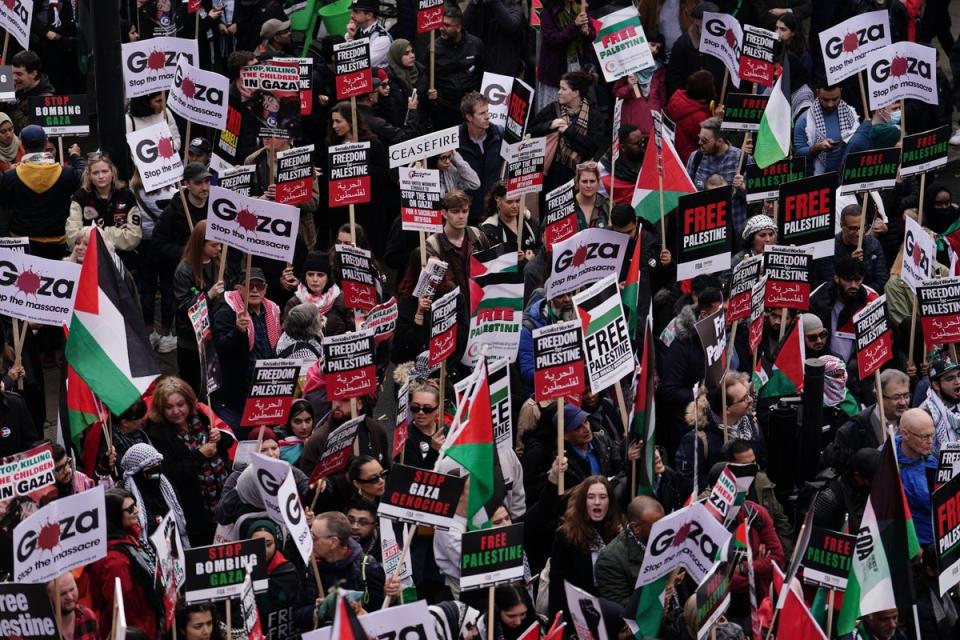 Protesters during a pro-Palestine march organised by Palestine Solidarity Campaign in central London (PA)