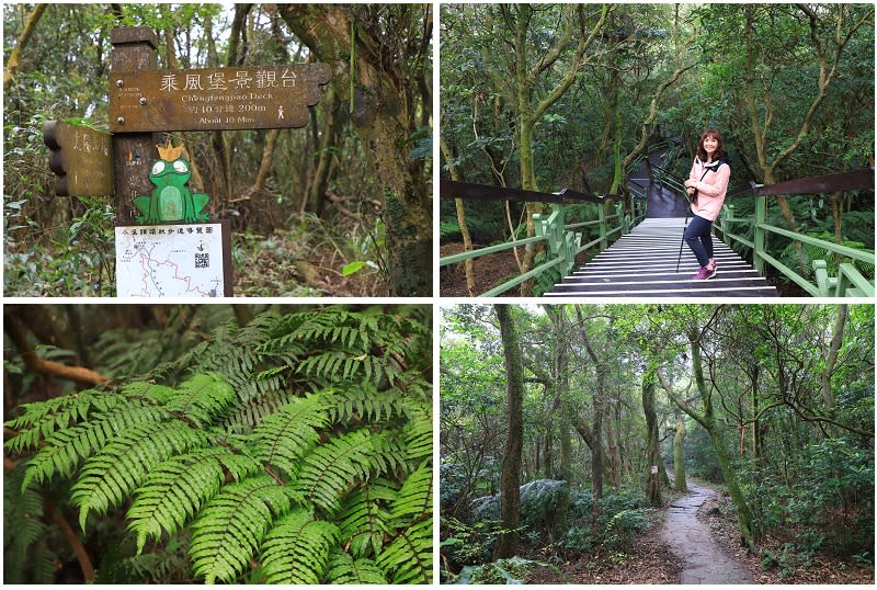 台北｜內湖採草莓，順遊大崙頭山小百岳、白石湖吊橋及碧山巖