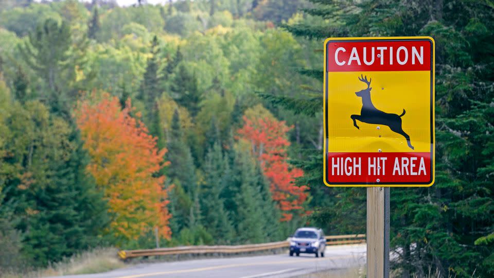 In Franklin County, Maine, a caution sign lets drivers know they are traversing a high hit area for deer. When you see signs like these, slow down and go on high alert. - Education Images/Universal Images Group/Getty Images