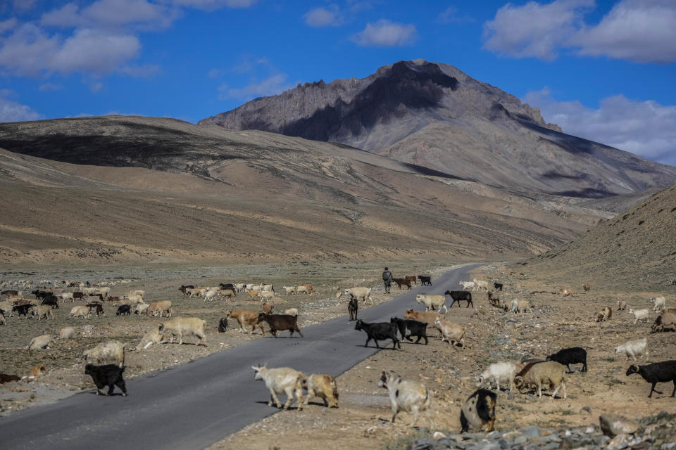 FILE - A nomad herds his Himalayan goats and sheep in a remote area in Ladakh, India, Sept. 17, 2022. The conference known as COP15, which begins Tuesday, Dec. 6, hopes to set goals for the world for the next decade to help conserve the planet's biodiversity and stem the loss of nature. (AP Photo/Mukhtar Khan, File)