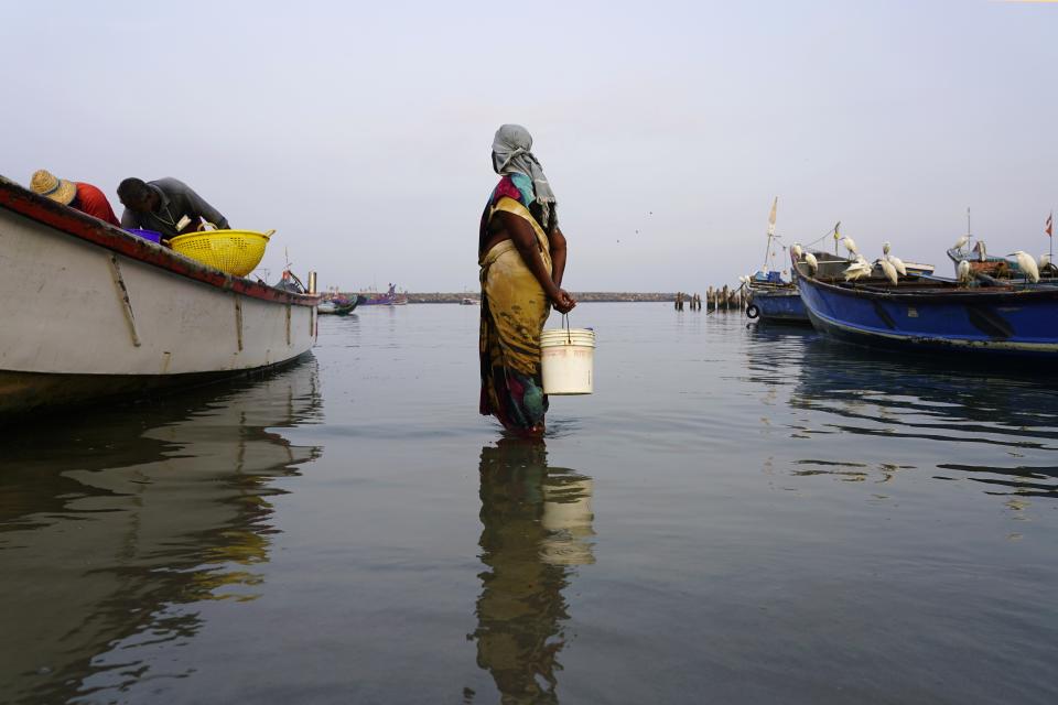 A woman stands in the water as fishermen bring in their day's catch in the Chellanam area of Kochi, Kerala state, India, March 3, 2023. Many in the fishing hamlet of 40,000 people are living with fears of weather events exacerbated by climate change: cyclones, surging seas, flooding and erosion. (AP Photo)