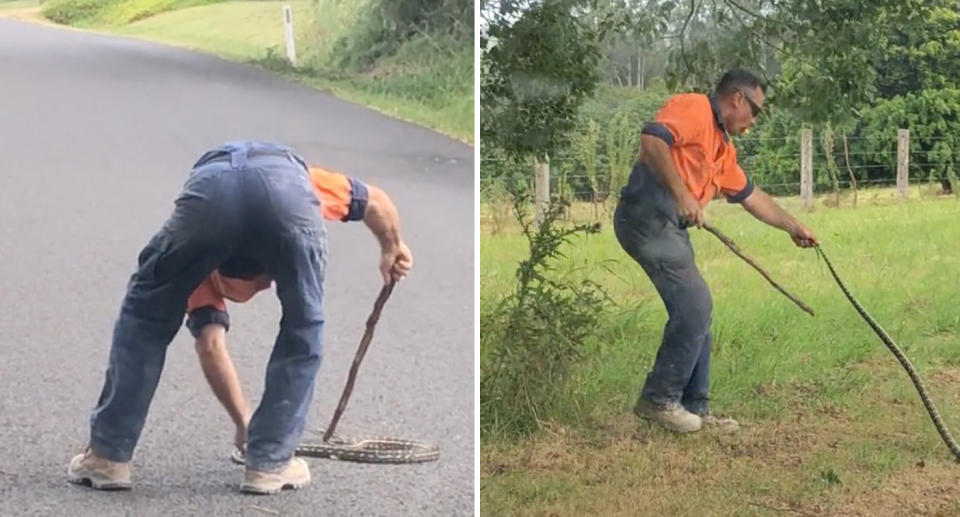 The tradie dragged the snake over to long grass. 