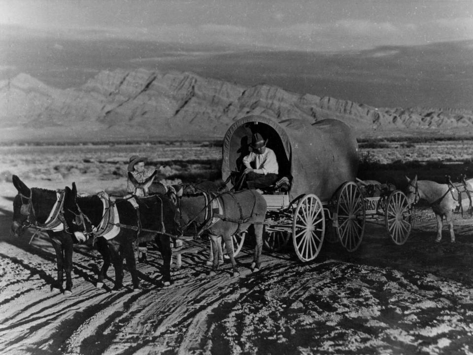 A supply wagon pulled by donkeys in Las Vegas in 1905.