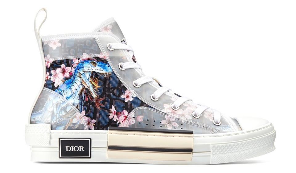 Dior, Sorayama, sneaker
