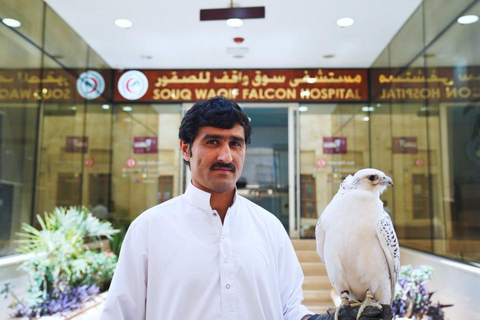 Khodr Allah, a Pakistani resident of Qatar, poses for a photograph with his gyrfalcon.