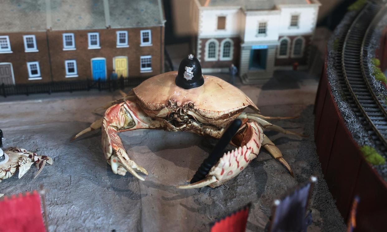 <span>A common box crab in a tiny policeman’s helmet at the Crab Museum, Margate.</span><span>Photograph: Martin Godwin/The Guardian</span>