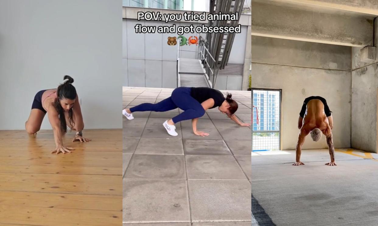 <span>On TikTok, quadrupedal movement training videos are gaining millions of views.</span><span>Composite: The Guardian/Silviafascians/fleur_fit_journey/gelbspan</span>