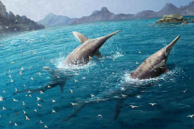 An artist's impression of a swimming pair of Ichthyotitan severnensis, by Gabriel Ugueto