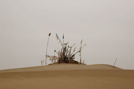 Flag-festooned poles stand over a grave in the cemetery surrounding the tomb of Imam Asim in the Taklamakan Desert outside the village of Jiya near Hotan, Xinjiang Uighur Autonomous Region, China, March 21, 2017. REUTERS/Thomas Peter