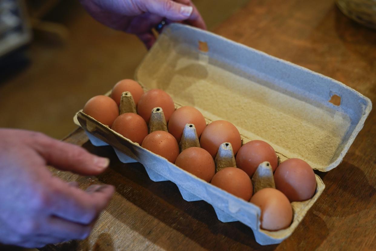 Director John Kuester opens a carton of eggs Tuesday, Jan. 10, 2023, at Historic Wagner Farm in Glenview, Illinois. Avian influenza virus is having a significant impact on egg prices across the U.S.. Kuester said the farm had to take precautions to separate their two flocks of about 70 hens last year due to bird flu and to protect the hens from other wildlife. Kuester said the farm already charges $7.50 for a dozen eggs because they are so small and have a limited amount, but haven't raised prices. They routinely hear about grocery store egg price increases from their regular customers. (AP Photo/Erin Hooley)