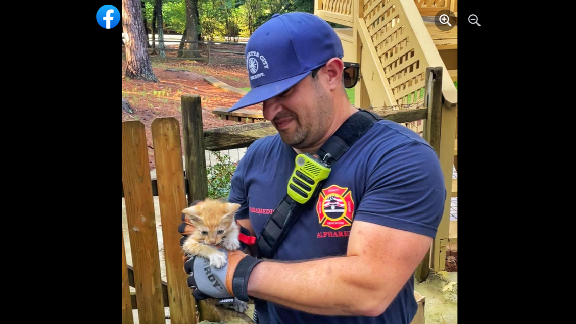 Firefighters Rescue Cat From Inside Truck Engine