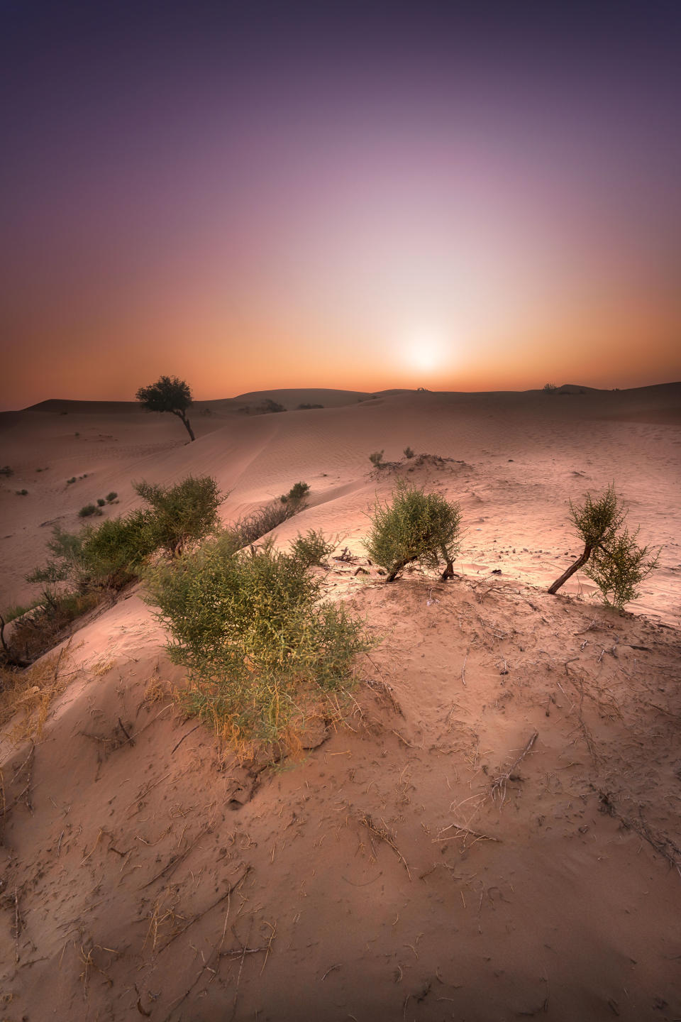 <p>"I love the wind blowing across me, and the sensation of feeling completely alone is somehow very comforting." (Photo: Anushka Eranga/Caters News) </p>