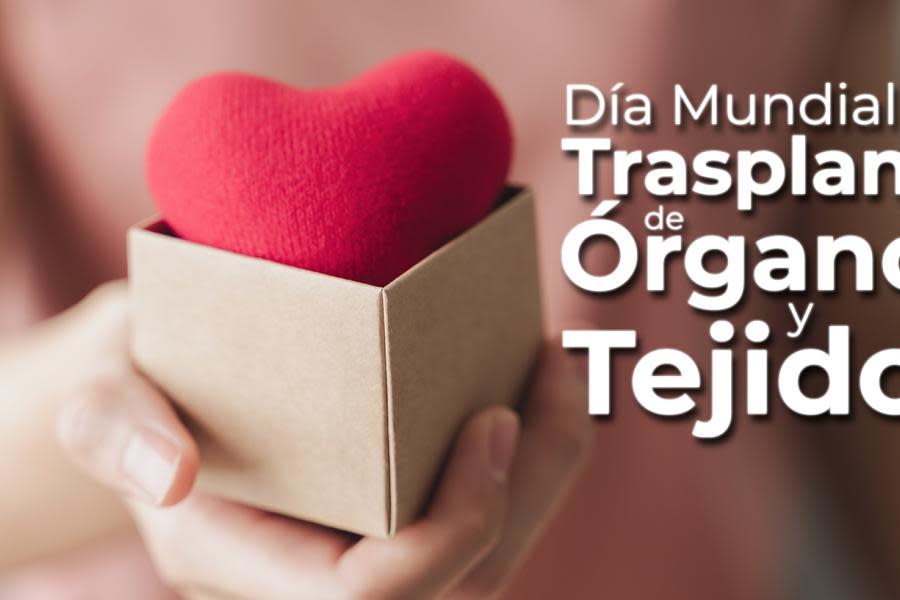 Día Mundial del Trasplante de Órganos y Tejidos: Salvando vidas a través de la donación voluntaria