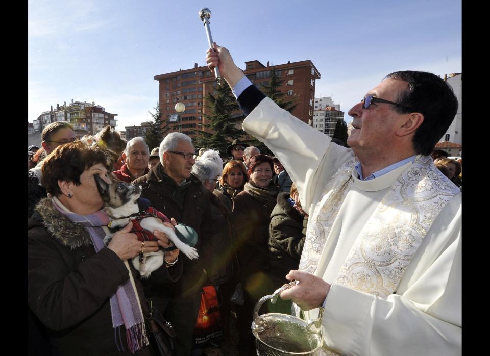 Priest Domiciano Juarranz blesses a dog with holy water in Burgos, Spain Tuesday Jan. 17, 2012. People across Spain bring their animals to be blessed on Saint Anthony day (San Anton), the patron saint of animals. (I. Lopez, AP)