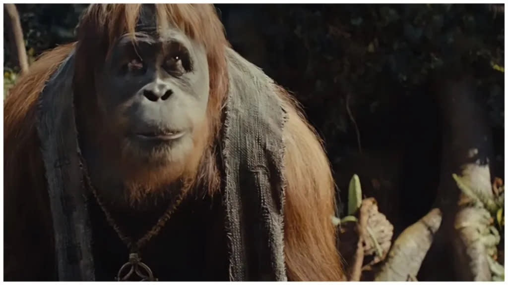 Kingdom of the Planet of the Apes: What Happened to Raka?