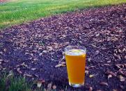 <body> <p>Put leftover beer to good use as a <a rel="nofollow noopener" href=" http://www.bobvila.com/articles/homemade-fertilizer-for-lawns/?bv=yahoo" target="_blank" data-ylk="slk:homemade fertilizer;elm:context_link;itc:0;sec:content-canvas" class="link ">homemade fertilizer</a> for your lawn. Combine a cold one with a cup each of ammonia and baby shampoo. Add the turf-friendly trifecta to a hose-end sprayer, and then spray it over your lawn to promote healthy grass growth.</p> <p><strong>Related: <a rel="nofollow noopener" href=" http://www.bobvila.com/slideshow/10-zero-dollar-garden-hacks-48855?bv=yahoo" target="_blank" data-ylk="slk:19 "Zero Dollar" Garden Hacks;elm:context_link;itc:0;sec:content-canvas" class="link ">19 "Zero Dollar" Garden Hacks</a> </strong> </p> </body>