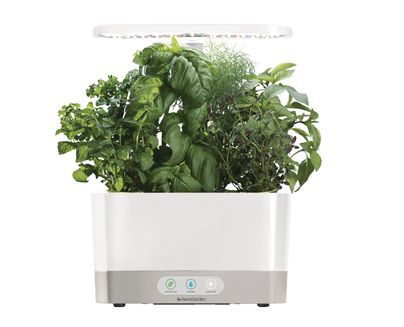 Miracle-Gro AeroGarden Harvest. Image via Canadian Tire.