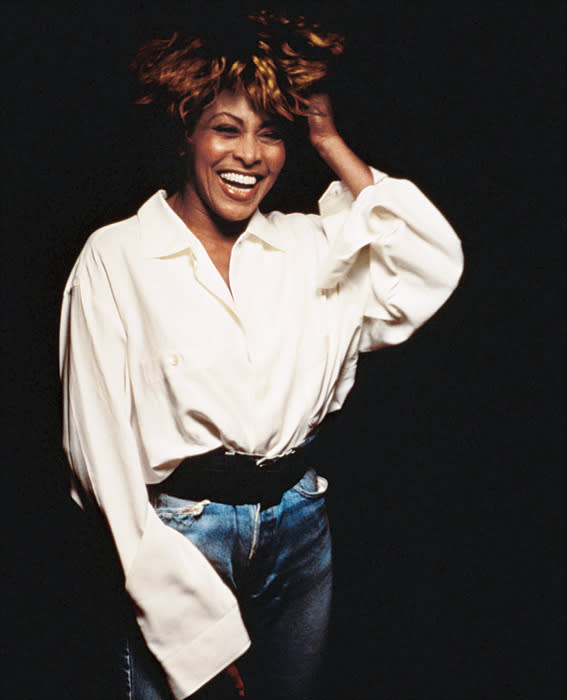 Tina Turner, 1993