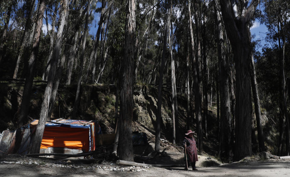 In this April 28, 2020 photo, 62-year-old Ines Urrelo, who lost her home in a landslide last year, stands near her makeshift tent in a small wooded area of La Paz, Bolivia. About 20 young people have formed a group known as "Adopt a Grandparent” which includes Urrelo, to help elderly people during the quarantine imposed by Bolivia’s interim president in an attempt to curb the spread of the new coronavirus. (AP Photo/Juan Karita)