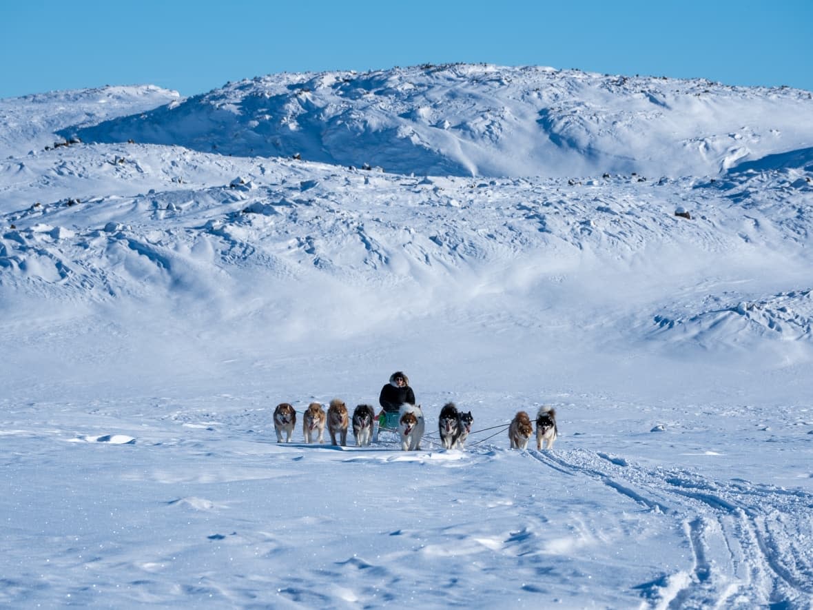 Jovan Simic travelled for 19 days with his partner and 10 dogs from Iqlauit to Igloolik where he will soon start racing in the Nunavut Quest. (Submitted by Jovan Simic - image credit)