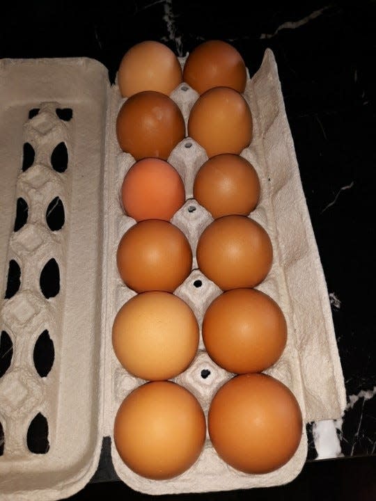 Which egg is a fake?