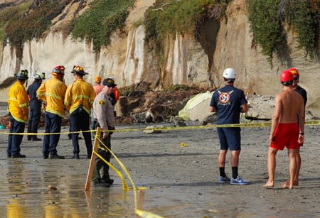 Emergency responders and a search team work at the scene of a cliff collapse at a beach in Encinitas, California