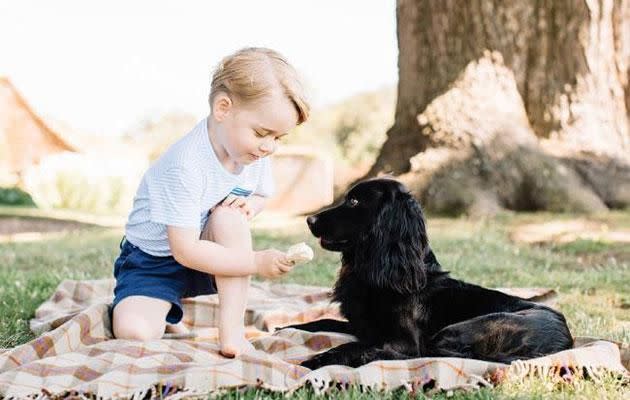 Prince George and Lupo. Source: Twitter.