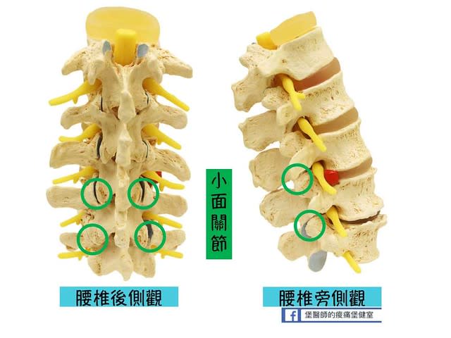 小面關節