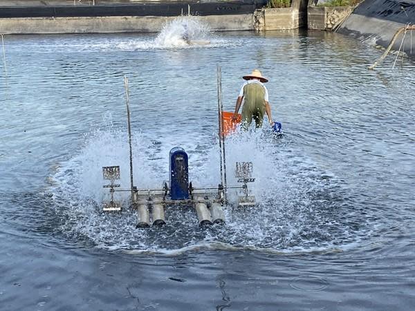 宜蘭縣政府證實2養殖場確診「十足目虹彩病毒」，縣府啟動防疫措施。（宜蘭縣府提供）