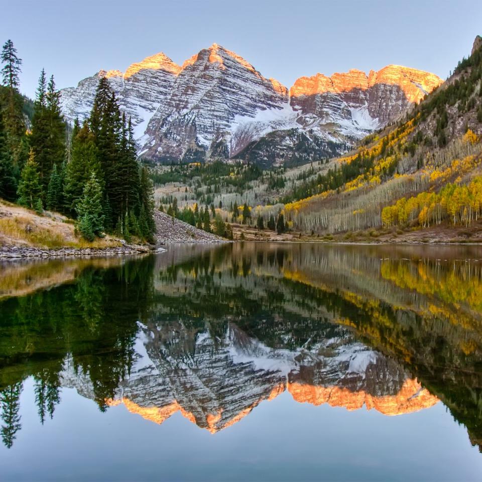 Photo credit: Steve Whiston - Fallen Log Photography - Getty Images