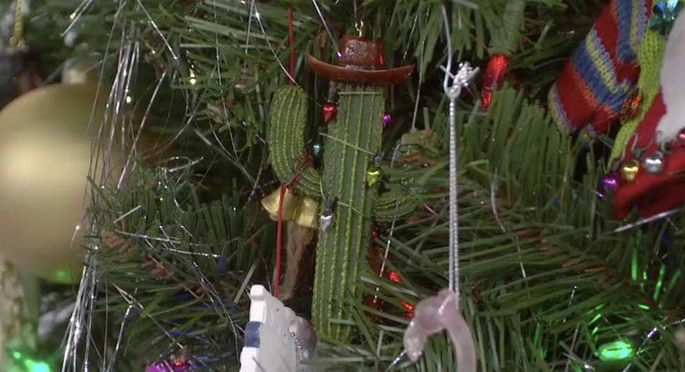 A cactus tree on a Christmas tree? Why not! (TODAY)